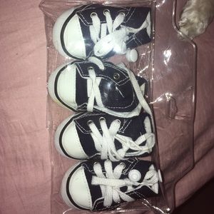 dog shoes